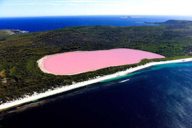 Lagon rose