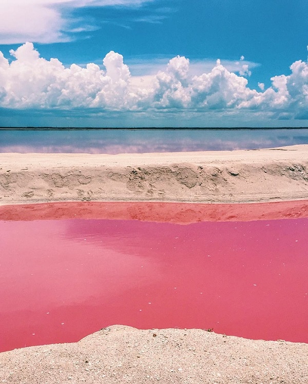 Lagon rose