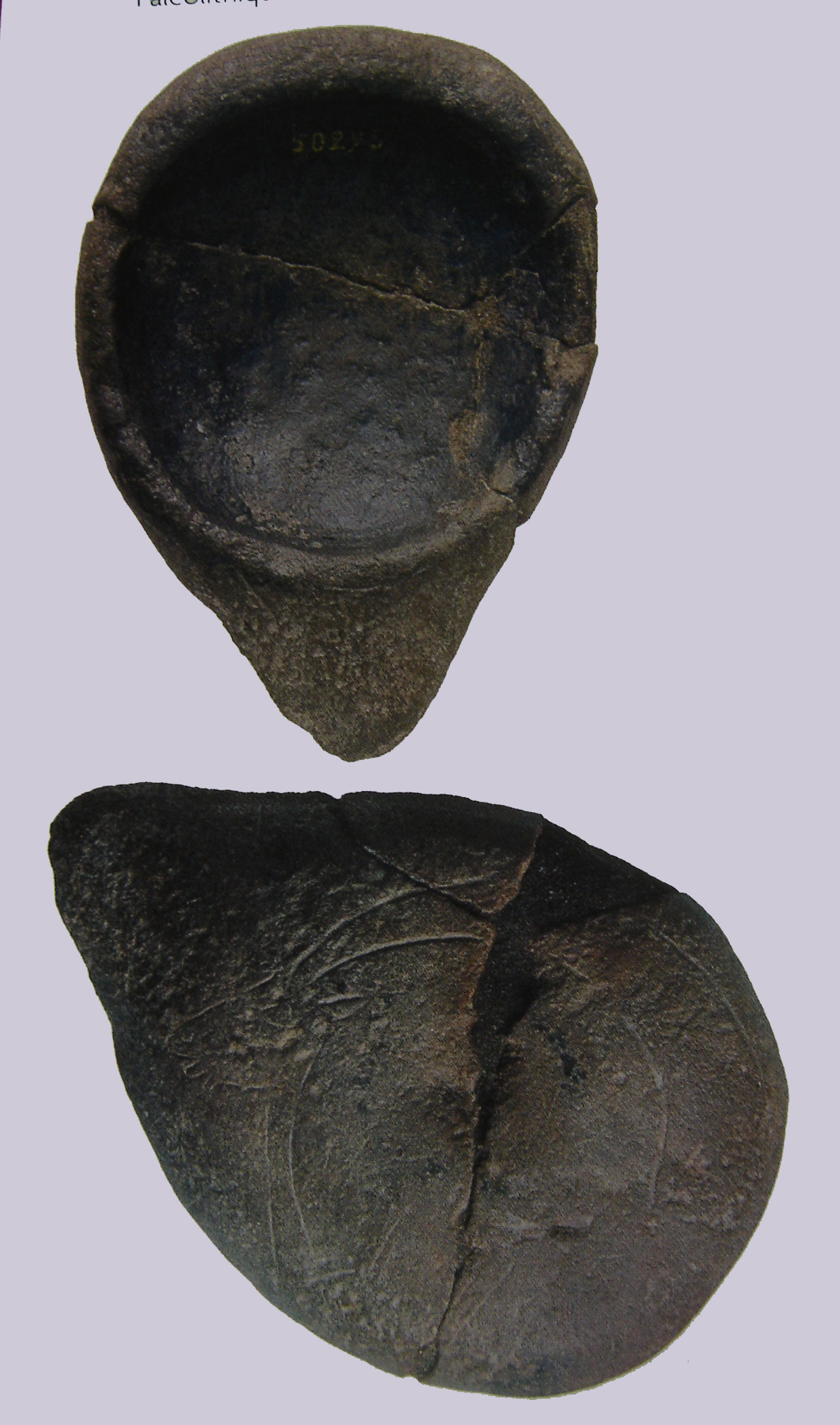 Lampe de la grotte de La Mouthe.