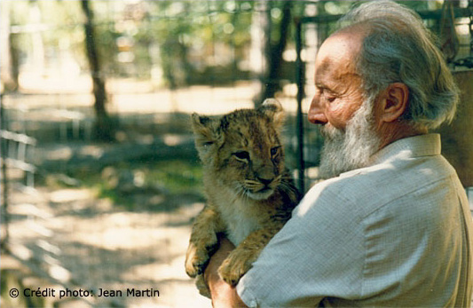 Amitié entre Jacques et un lionceau