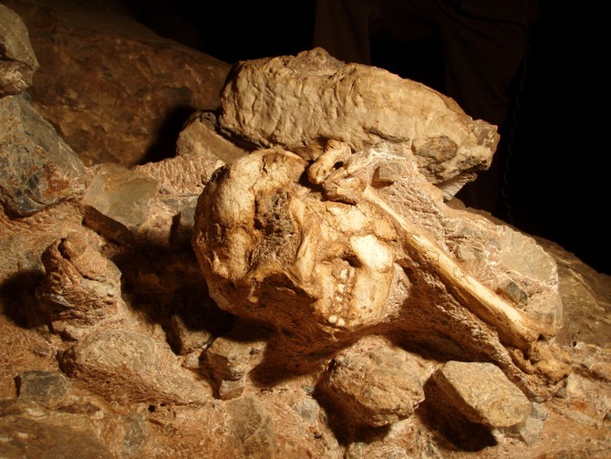 Little Foot, ou Petit Pied