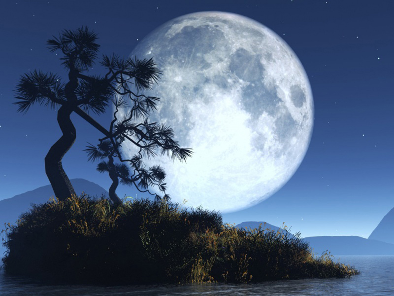Arbre de Vie & la Lune.