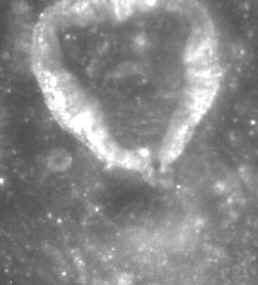 Base lunaire dans le cratère Ukert.