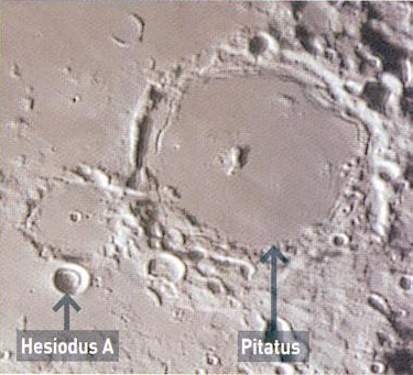 Pitatus