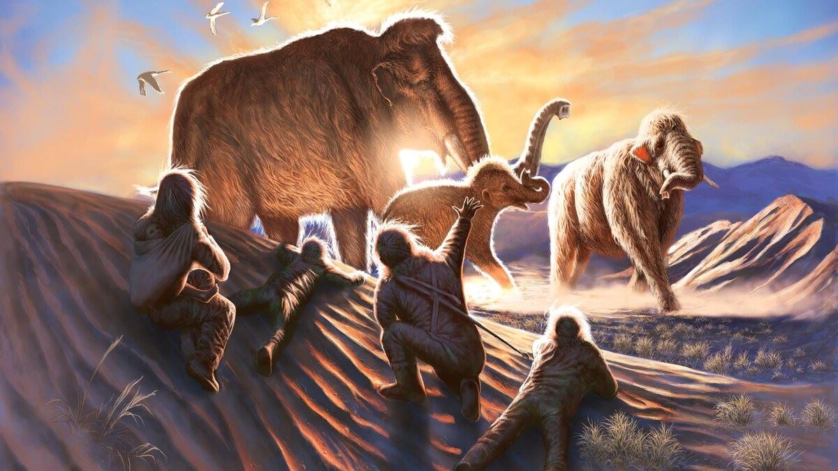 Migration des mammouths