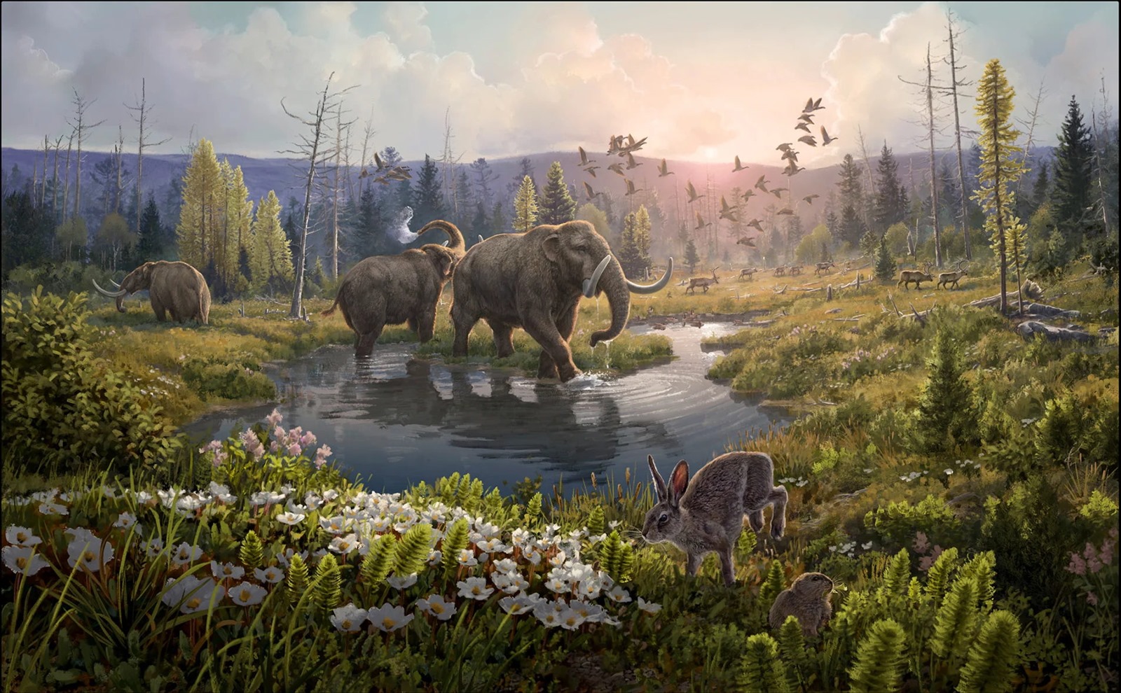 Mammouth ou mastodonte dans un écosystème vieux de 2 millions d'années.