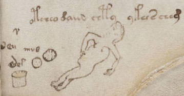 Page 66 (recette) du manuscrit de Voynich.