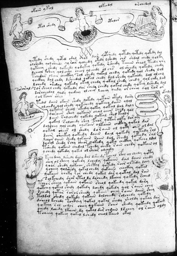 Page 77 (anatomie) du manuscrit de Voynich.