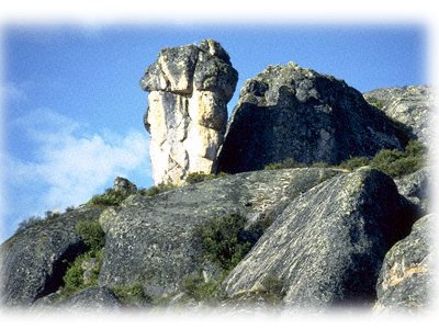 Chameau à Marcahuasi