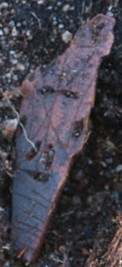 Masquette chez les Inuits.