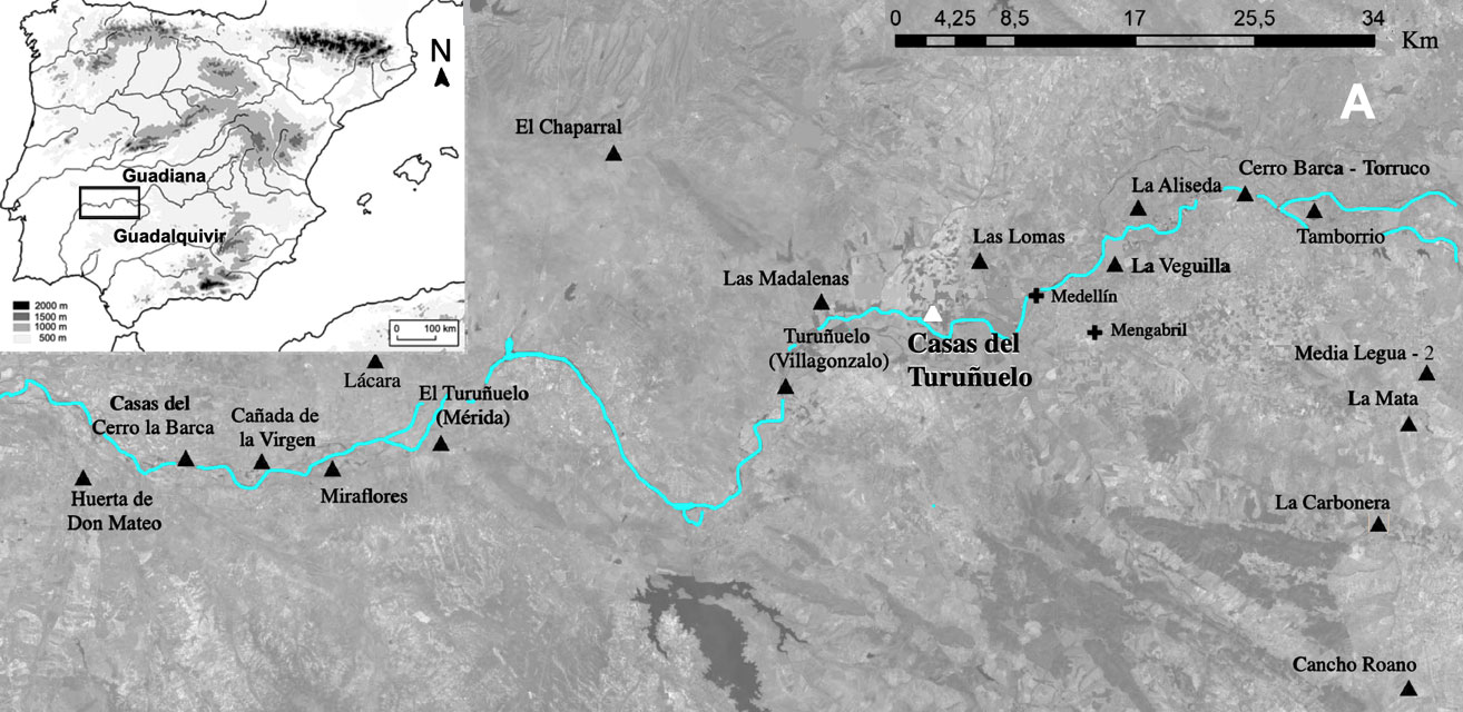 Sacrifice d'animaux (chevaux, vaches, porcs, chien) à Casas del Turuñuelo en Espagne.
