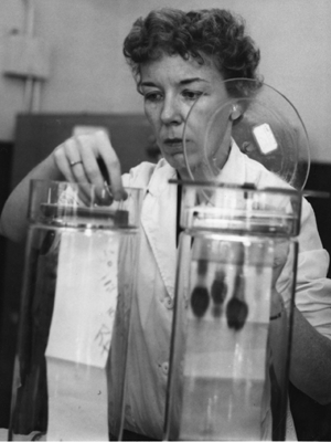 Mary Alice McWhinnie