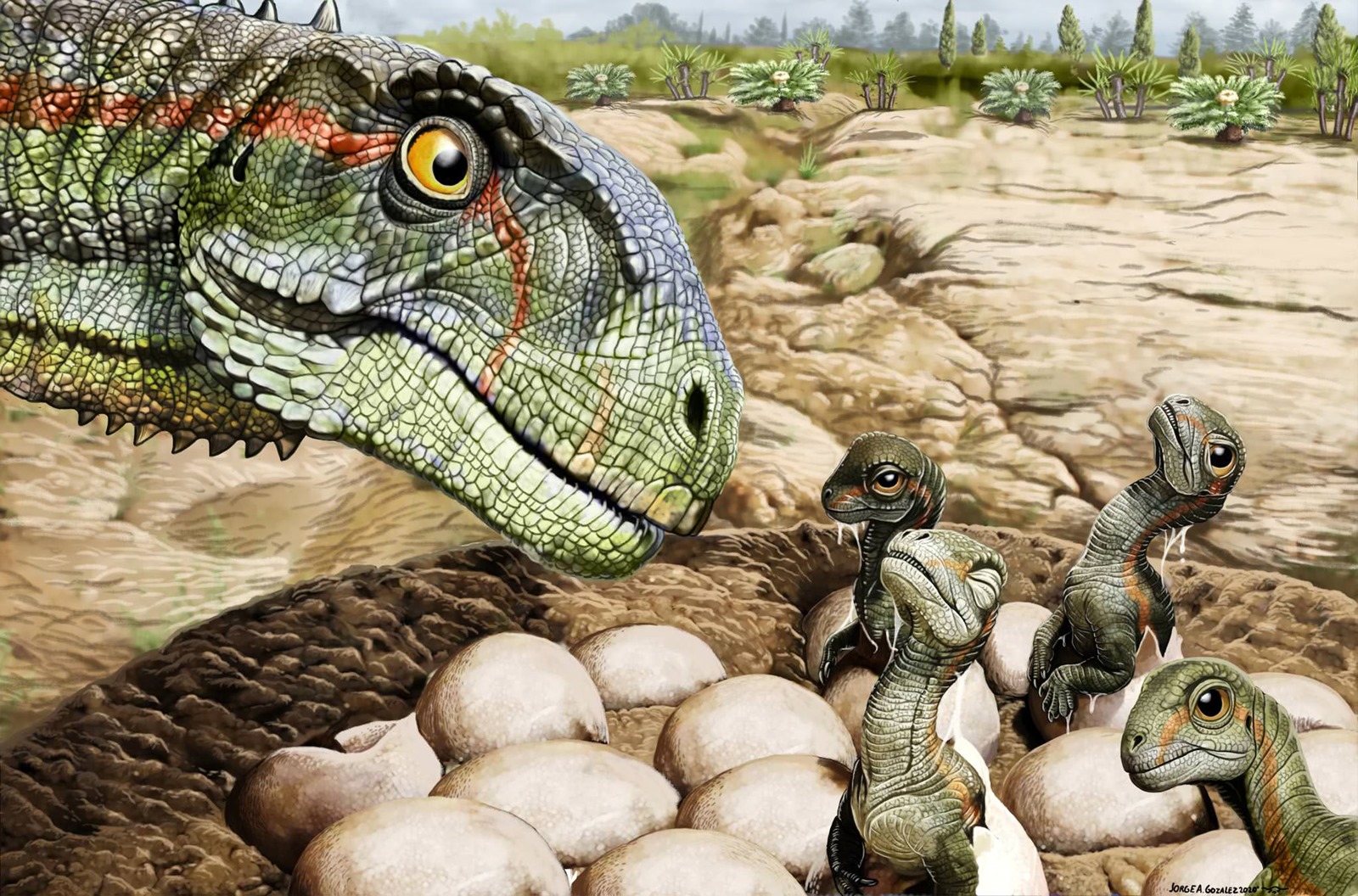 Mussaurus patagonicus