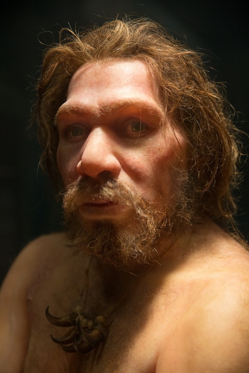 Homme de Néandertal