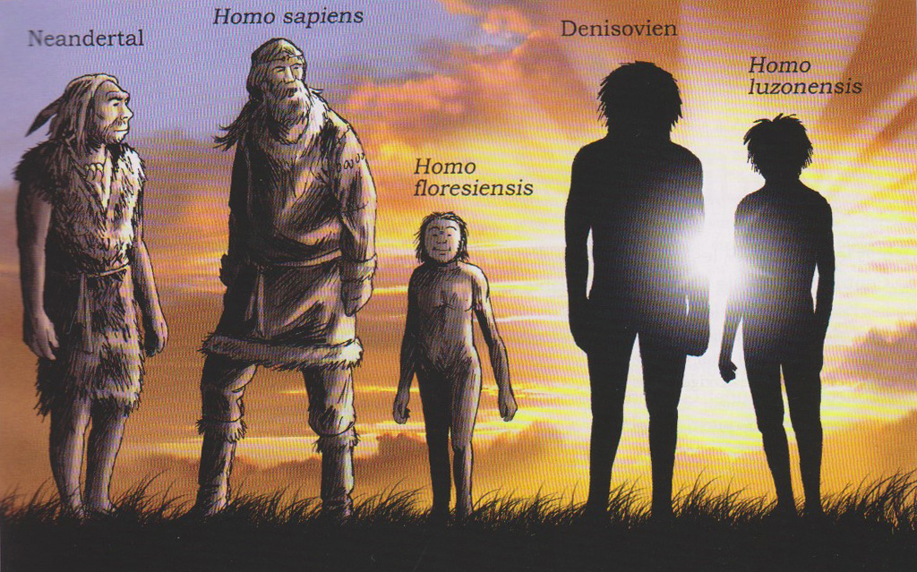Neandertal, Homo sapiens, Homo Floresiensis, Denisovien, Homo Luzonensis