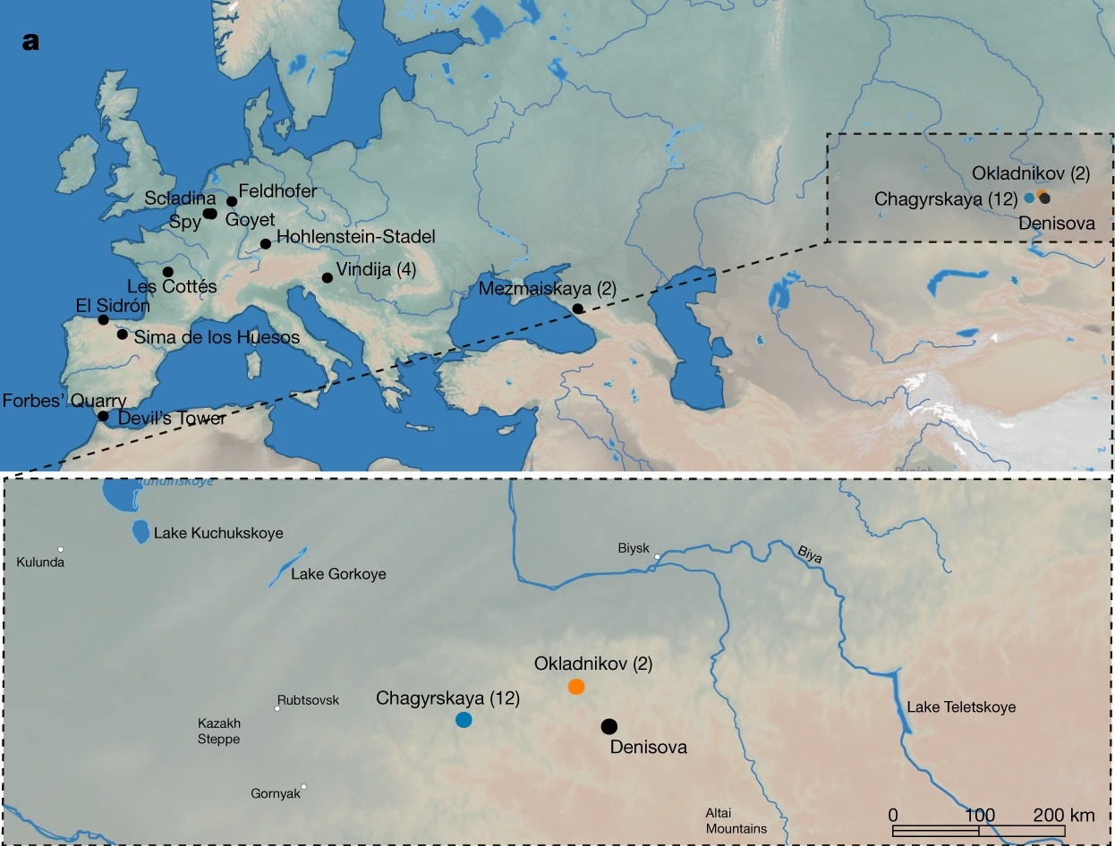 Néandertaliens présent en Europe.