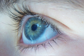 Le regard vert