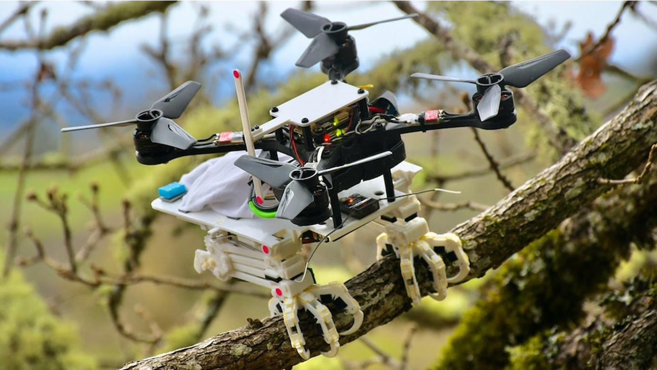 Oiseau-robot de l'Université de Stanford