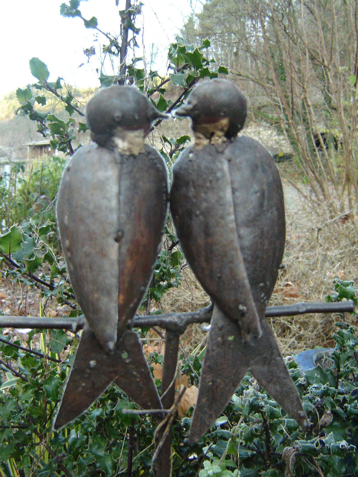 Oiseaux amoureux d'Issamoulenc, dans l'Auzène, en Ardèche.
