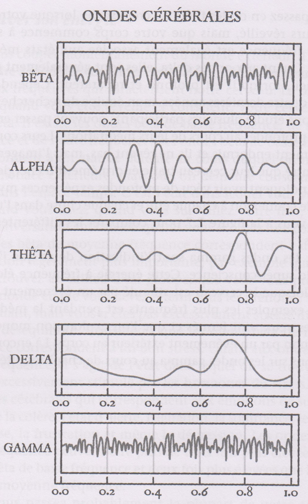 Ondes cérébrales: bêta, alpha, thêta, delta & gamma.