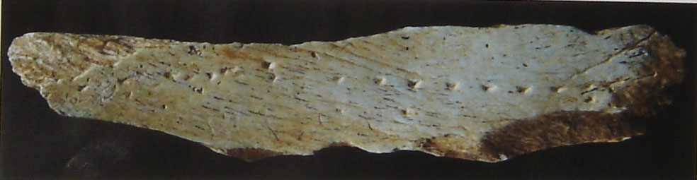 Outil de couture en os, vieux de 37 600 ans.