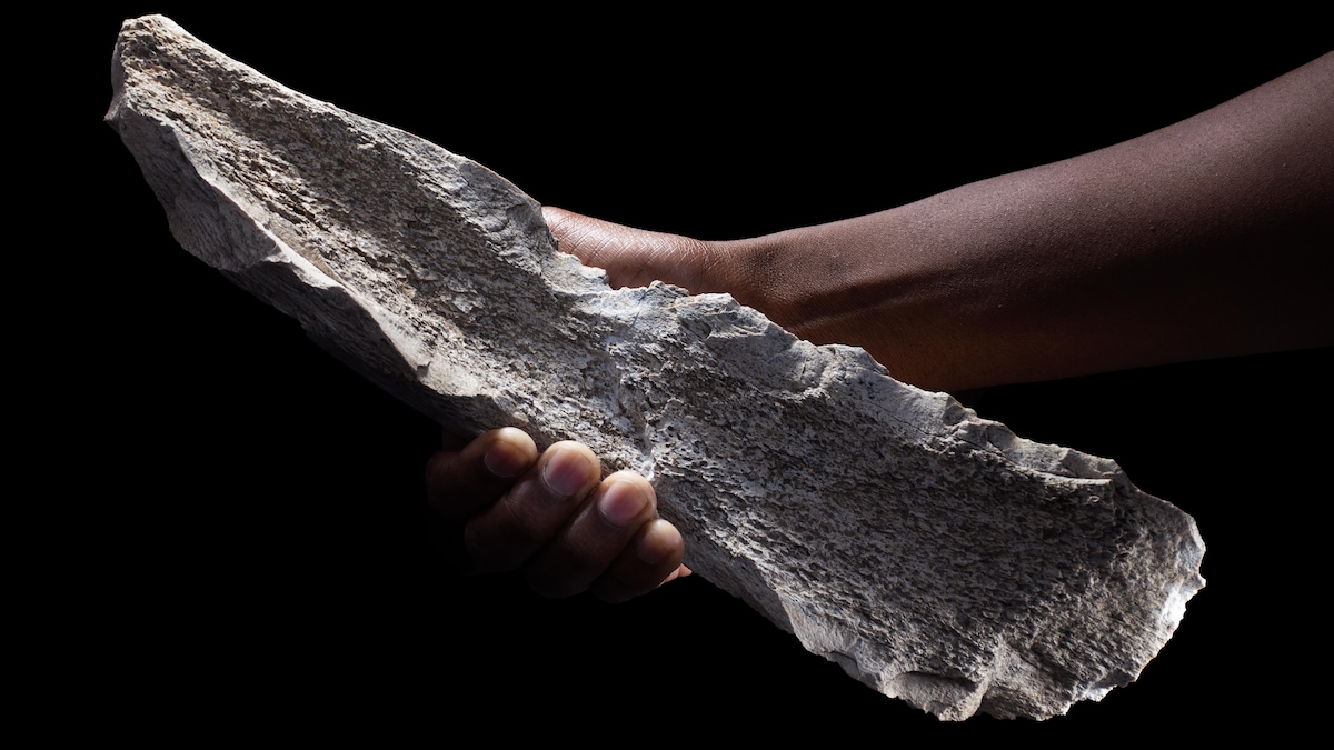 Outils en os d'éléphant, des gorges d'Olduvai en Tanzanie, vieux de 1,5 million d'années.