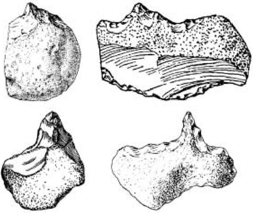 Outils en pierre : Olduvai (Tanzanie, 1 M.a.) versus Kent (Royaume-Uni, 2 M.a.).