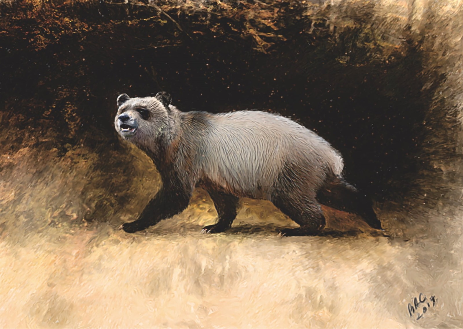 Panda géant Agriarctico nikolovi
