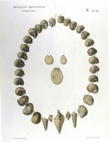 Parure de coquillages percées dans l'abri Cro-Magnon à Eyzies-de-Tayac en Dordogne.