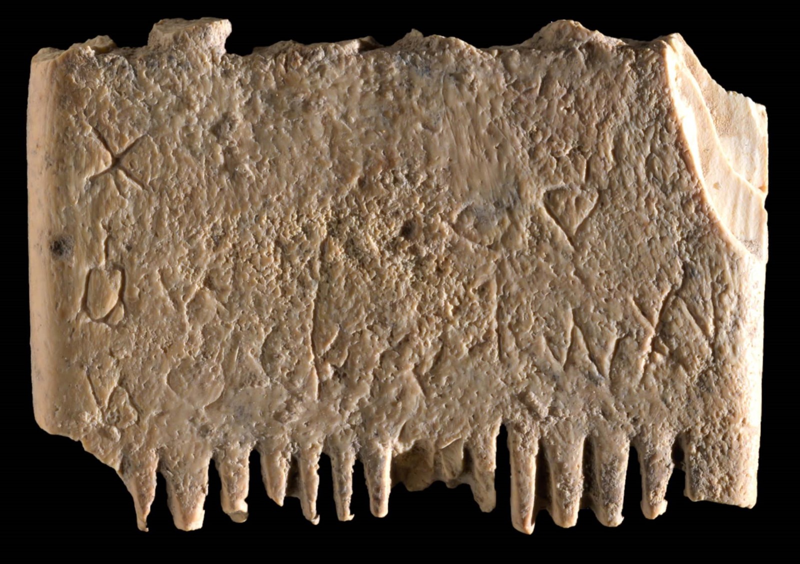 Peigne en ivoire contre les poux, avec une inscriptin en cananéen, à Lachich en Isra&eulml;, vieux de 3 700 ans.