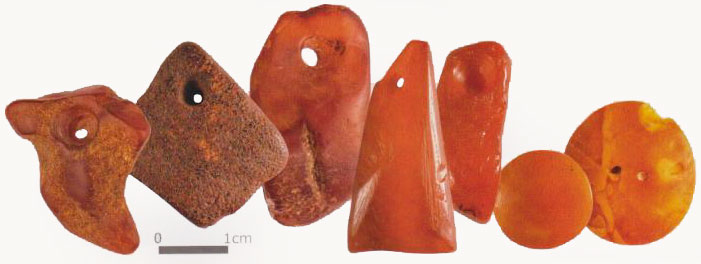 Pendentifs en ambre et perles en forme de bouton de Silinupe, sur la côte du golfe de Riga en Lettonie, il y a 6 000 ans.