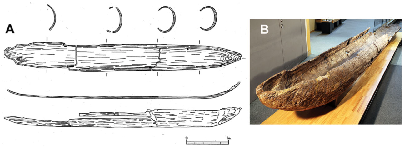 Pirogue (ou logboat) sur le site de Nagazato au Japon, lors de la phase du milieu Jomon, il y a 5 300 à 5 400 ans.