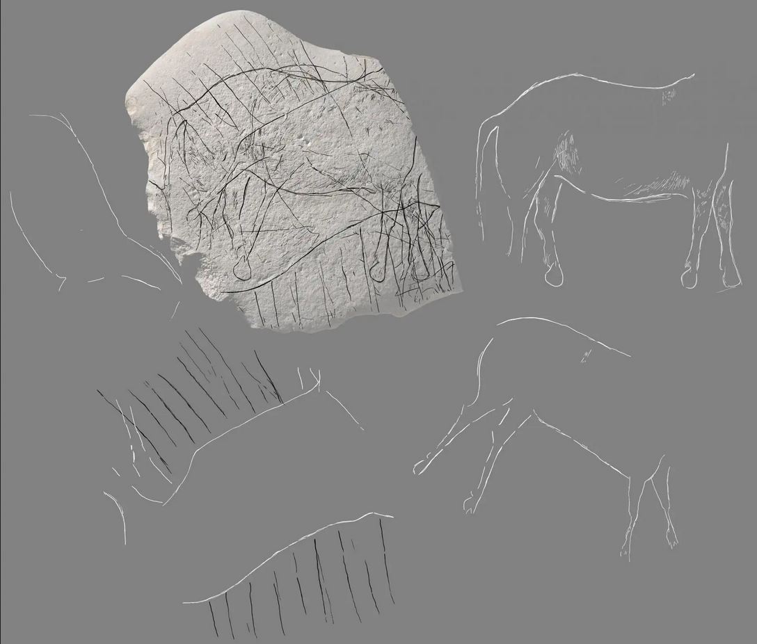 Plaquette gravée d'un auroch, cervidé & chevaux.