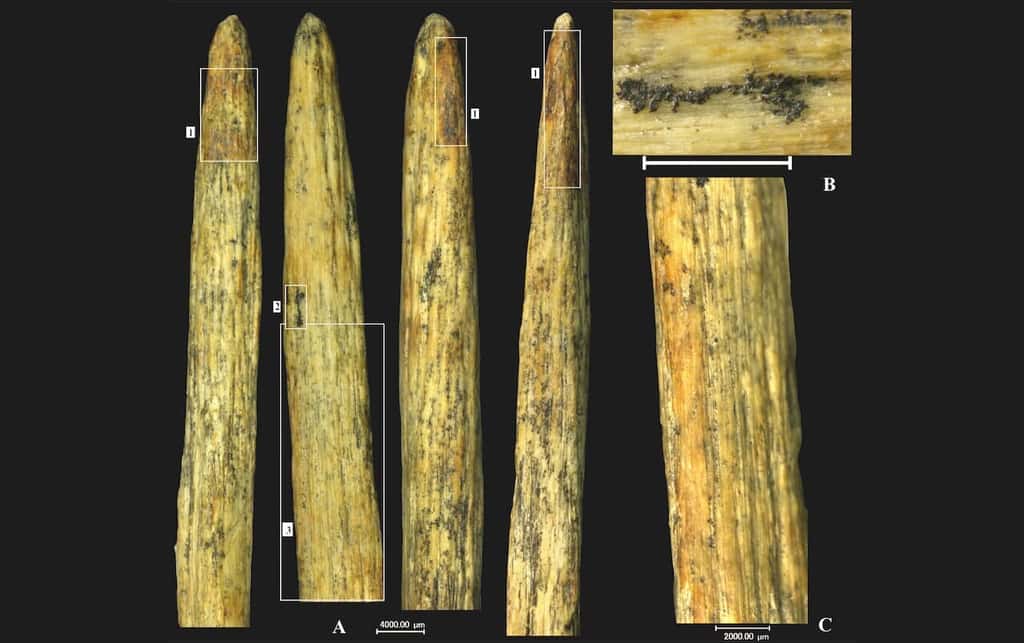 Pointe de lance taillée en os de bison, mise au jour dans la grotte de Mezmaiskaya, nord du Caucase en Russie, vieille de 70 à 80 000 ans.