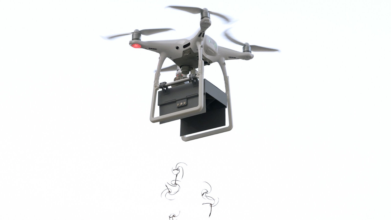 Porte-graines ou porte-semence E-seed (drone).