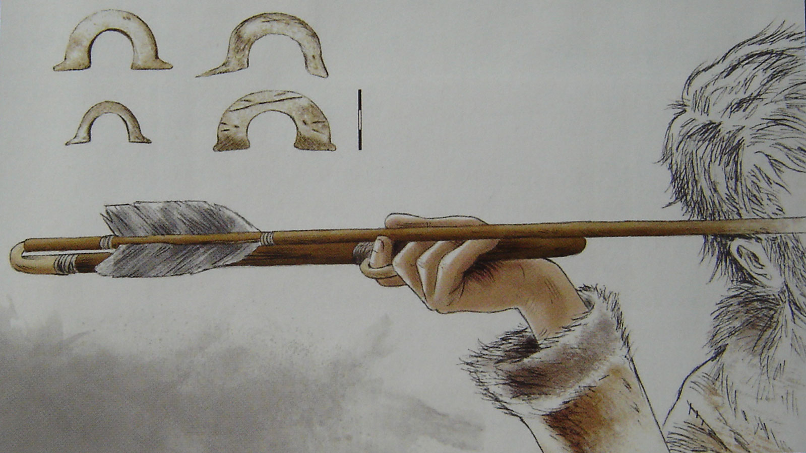 Reconstitution de propulseurs du Paléolithique européen.