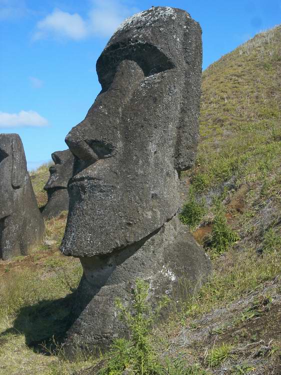 Moaï sur la pente du volcan Rano Raraku sur l'île de Pâques.