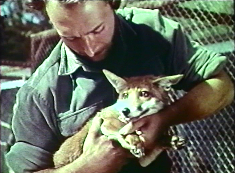 Jacques Bouillault