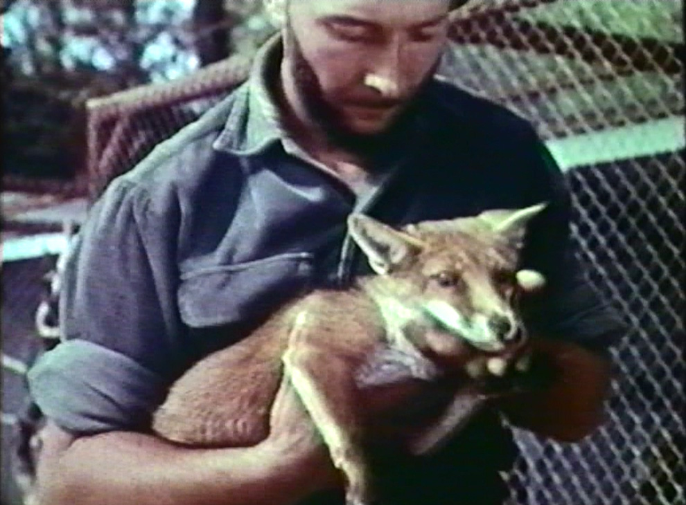 Jacques Bouillault
