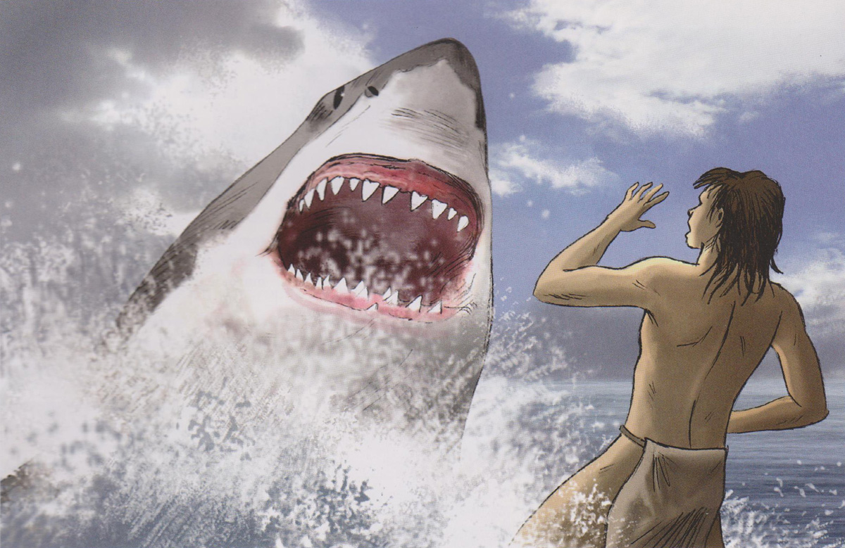 Attaque de requin