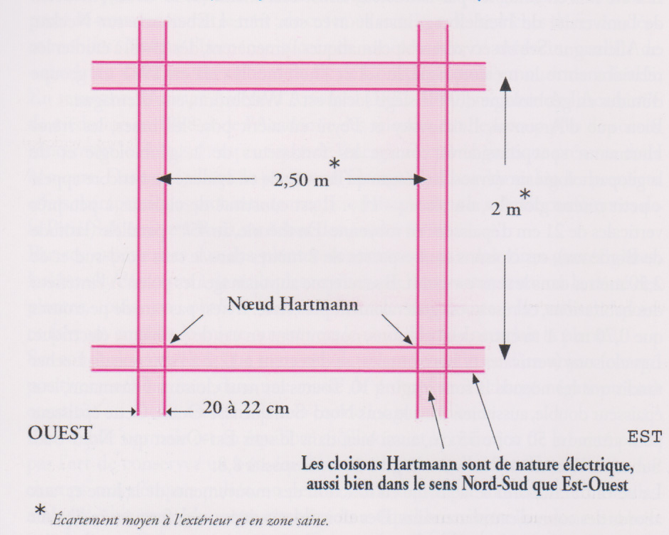 Réseau Hartmann, projection verticale