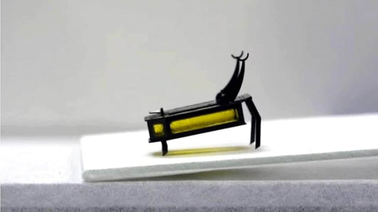 RoBeetle