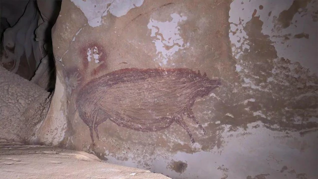 Sanglier des Célèbes