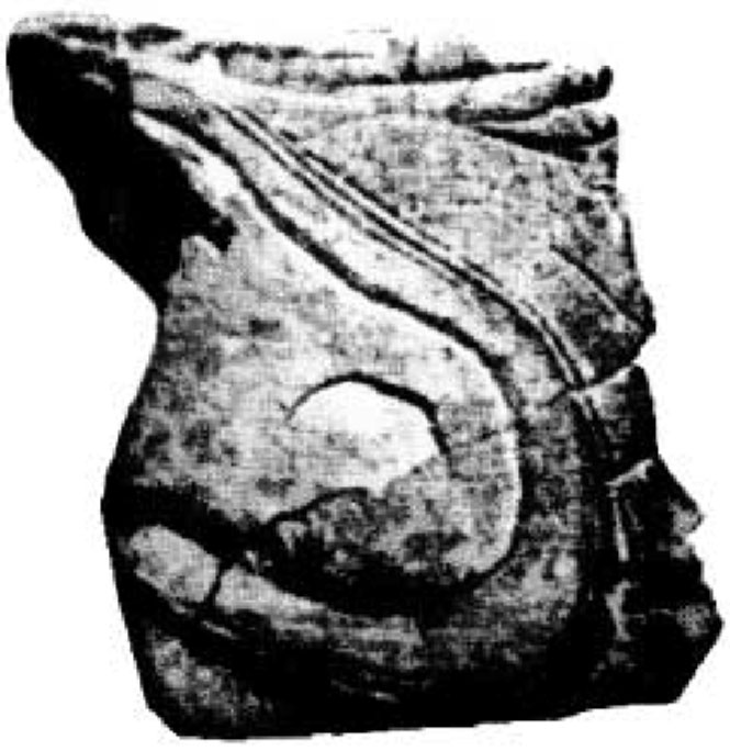 Semelle de chaussure vieille de 5 millions d'années.