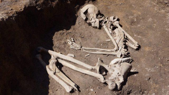 Sépulture d'un homme inhumé bras sous le corps.