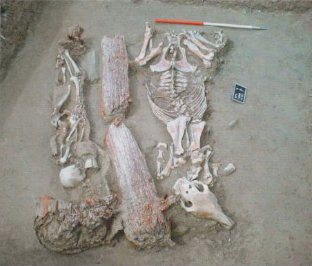 Tombe de la culture en Mongolie, il y a 900 ans av. J.C.