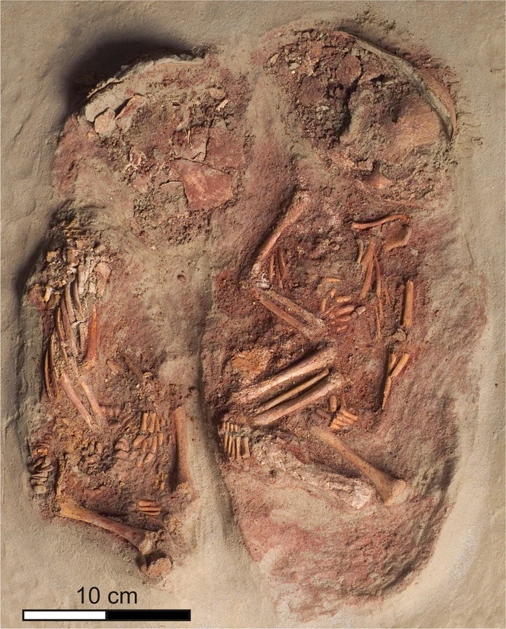 Sépulture de trois nourrissons