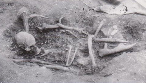 Sépulture K (squelette & bois de cerf) sur le site de Hoedic dans le Morbihan en France, il y a 8 700 à 12 000 ans.