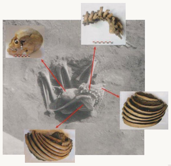 Sépulture M sur le site de Téviec dans le Morbihan en France, il y a 8 700 à 12 000 ans.