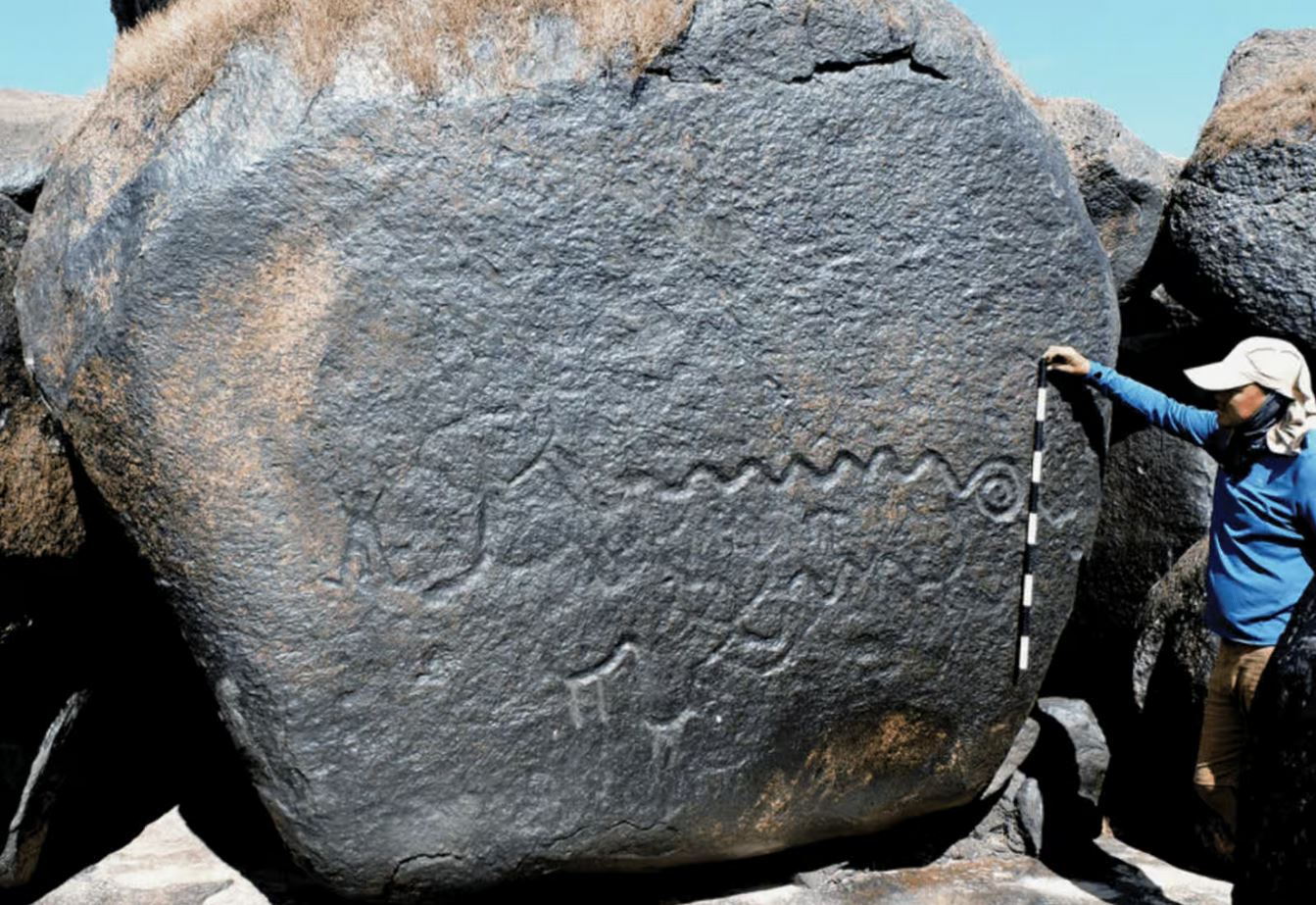 Gravure (1m) d'un serpent au bord de la rivière Orinoco, à la frontière entre la Colombie et le Venezuela.